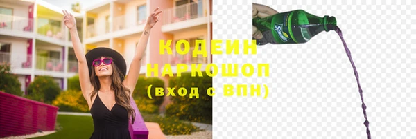 ПСИЛОЦИБИНОВЫЕ ГРИБЫ Абаза