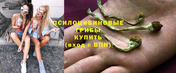 спиды Алексин
