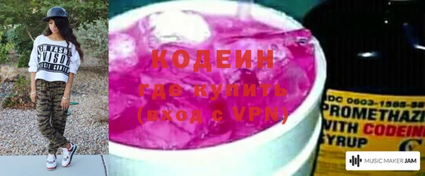 ПСИЛОЦИБИНОВЫЕ ГРИБЫ Абаза