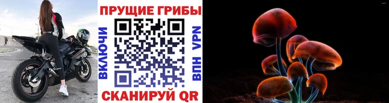 гидра сайт площадка телеграм Псилоцибиновые грибы MAGIC MUSHROOMS Чайковский